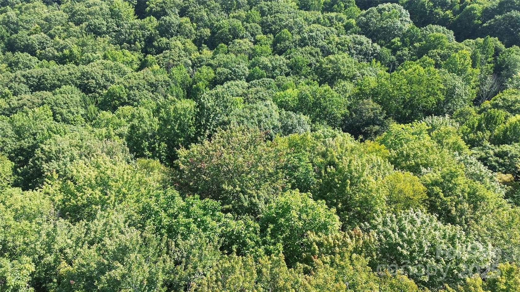 0.39 Acres of Land for Sale in Beech Mountain, North Carolina