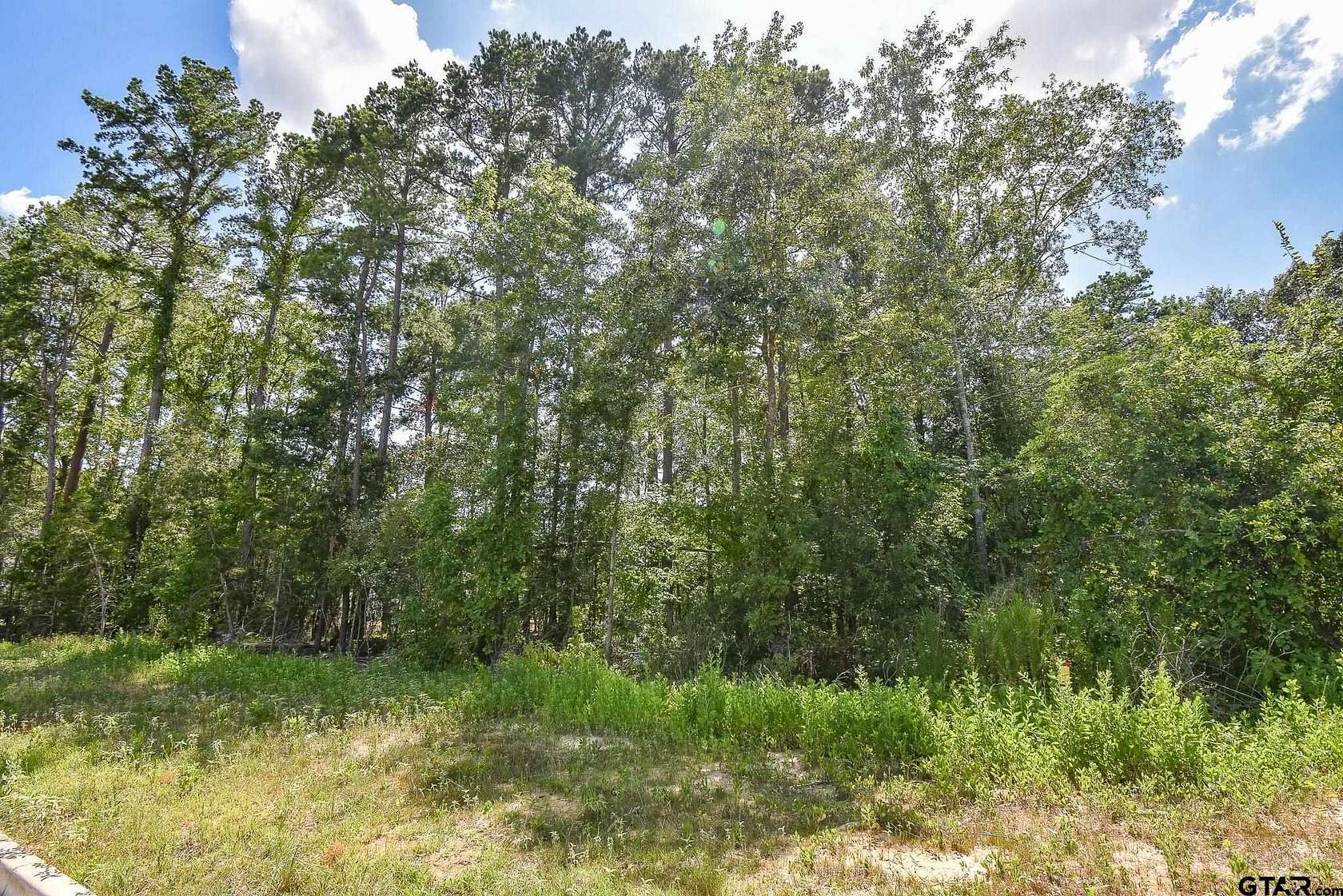 0.57 Acres of Residential Land for Sale in Tyler, Texas