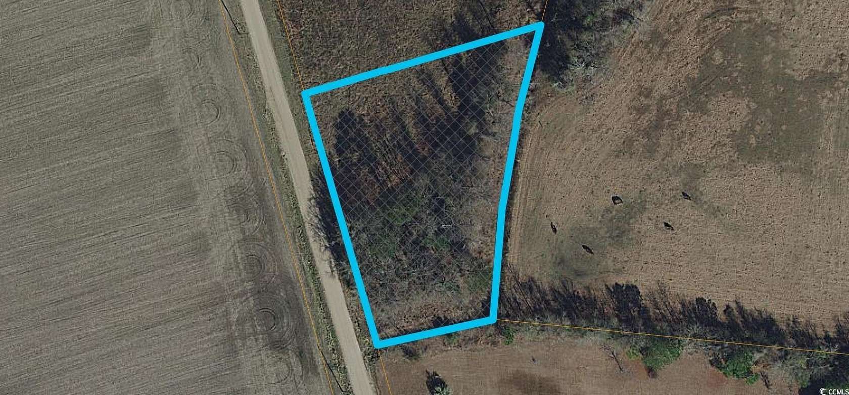 1 Acre of Residential Land for Sale in Loris, South Carolina