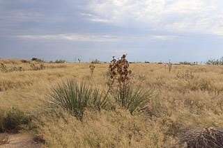 0.82 Acres of Land for Sale in Andrews, Texas