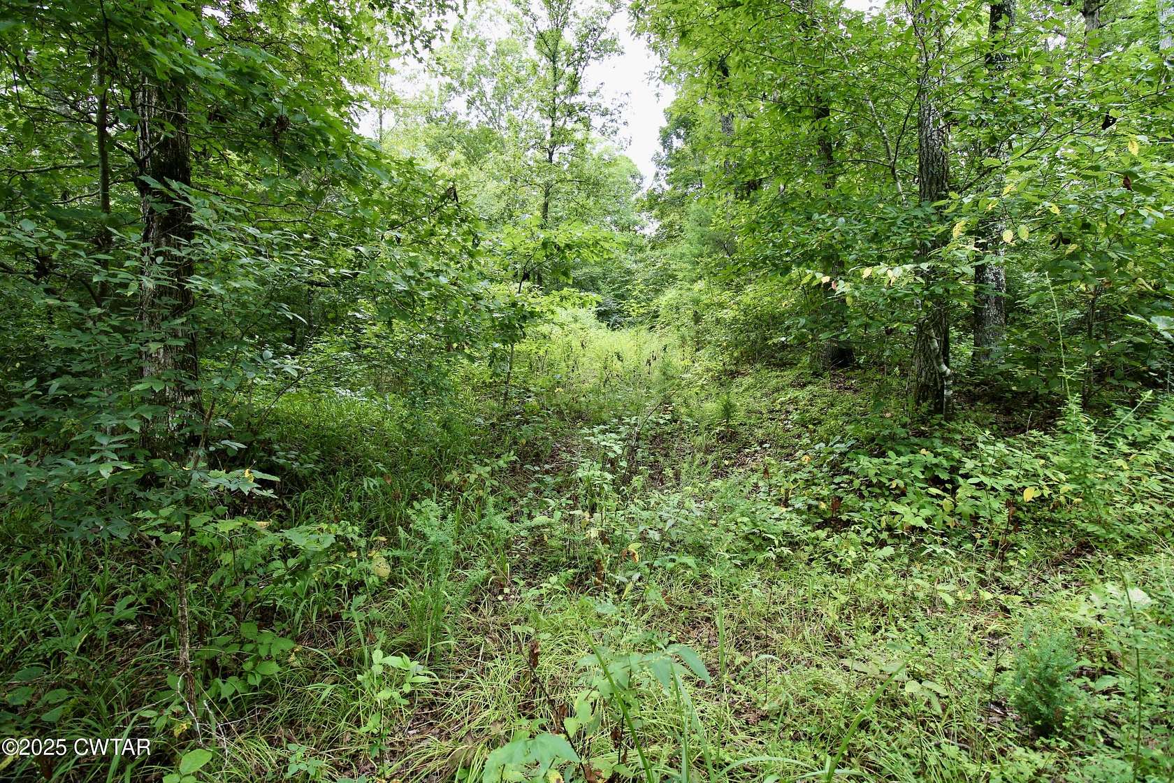 14.4 Acres of Land for Sale in Parsons, Tennessee