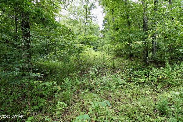 14.4 Acres of Land for Sale in Parsons, Tennessee