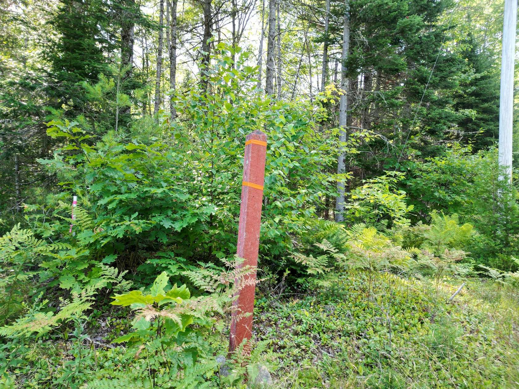 4.16 Acres of Residential Land for Sale in Edinburg Town, Maine
