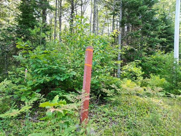 4.16 Acres of Residential Land for Sale in Edinburg Town, Maine