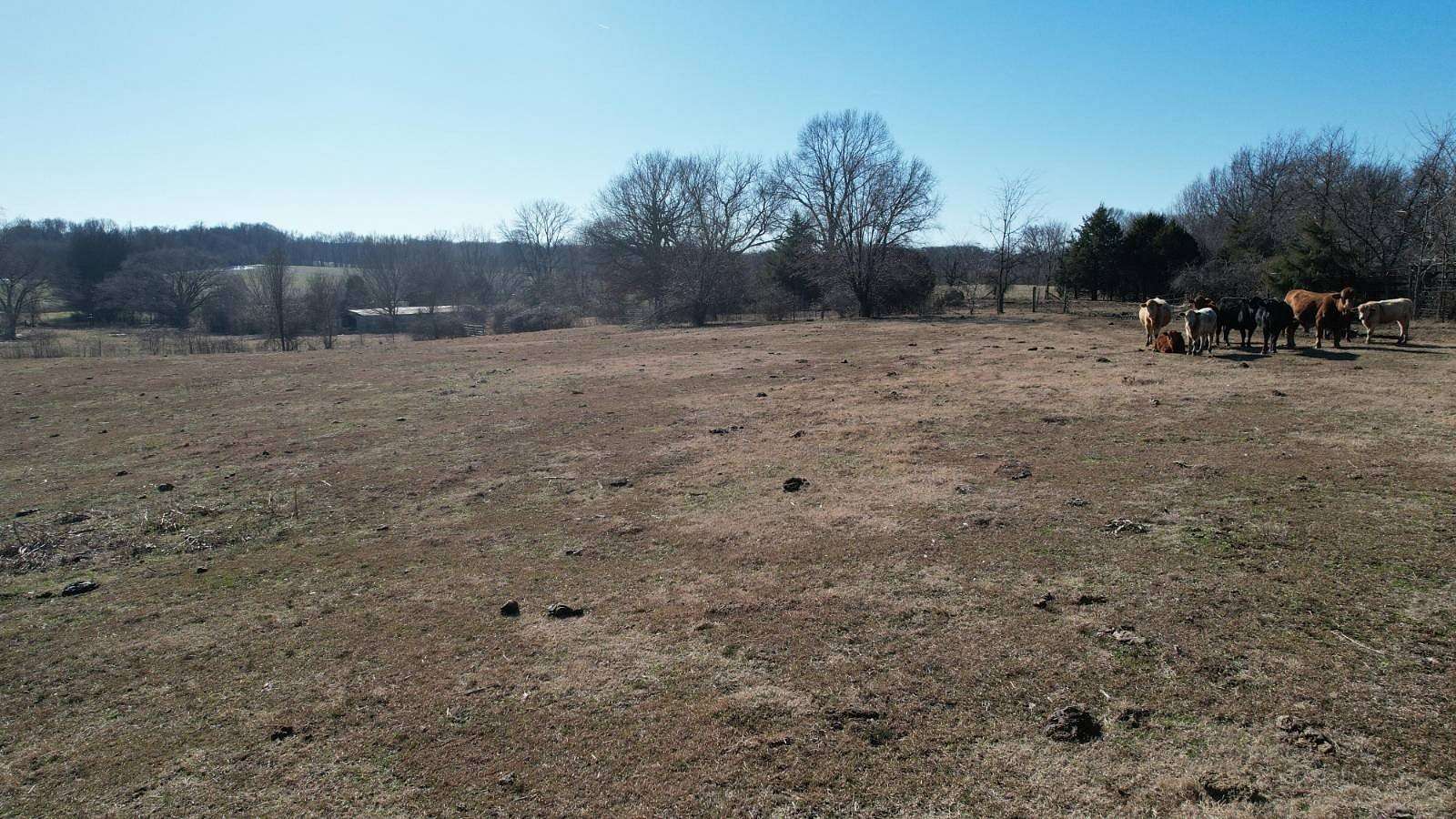 15.8 Acres of Land for Sale in Newbern, Tennessee