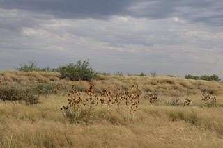 0.83 Acres of Land for Sale in Andrews, Texas