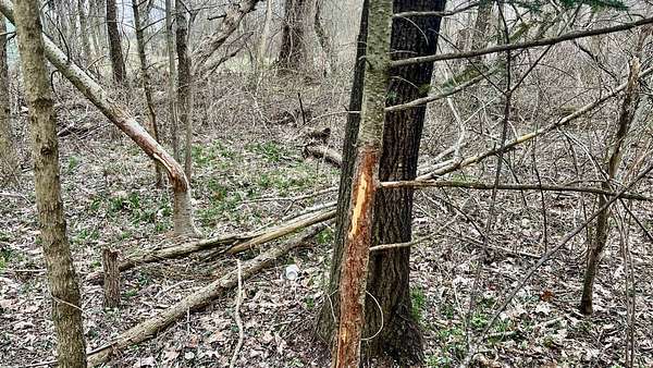 10 2 Acres of Recreational Land - Warren Oh 146157432