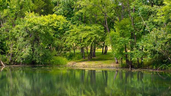 5.1 Acres of Residential Land for Sale in Gallatin, Tennessee