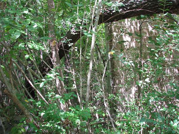 4 Acres of Land for Sale in New Johnsonville, Tennessee