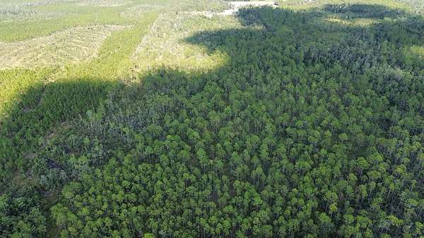 13.7 Acres of Land for Sale in Naylor, Georgia