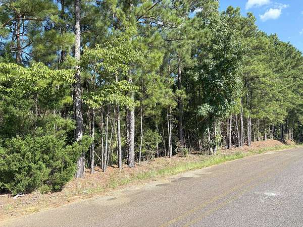8 Acres of Residential Land for Sale in Calhoun, Louisiana
