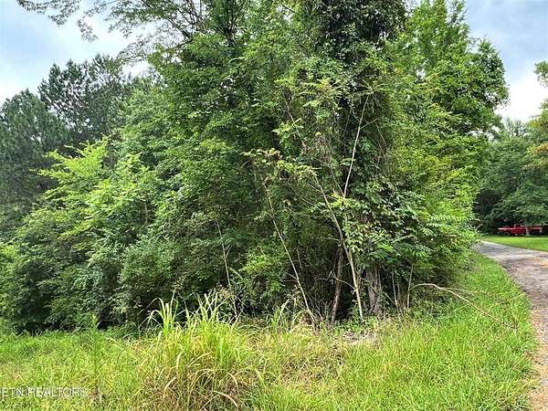 0.56 Acres of Residential Land for Sale in Decatur, Tennessee