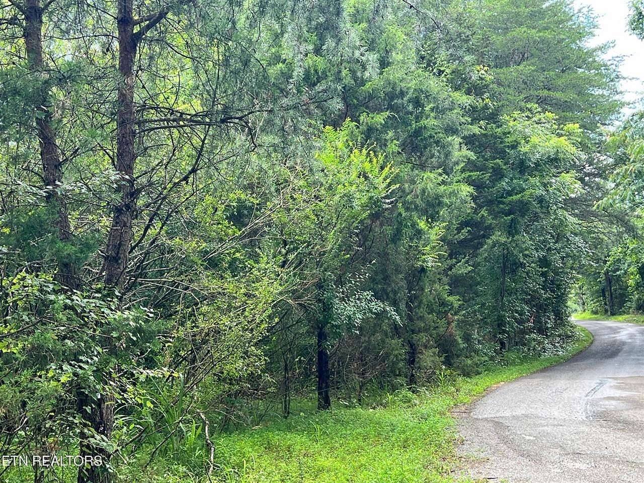 0.6 Acres of Residential Land for Sale in Decatur, Tennessee