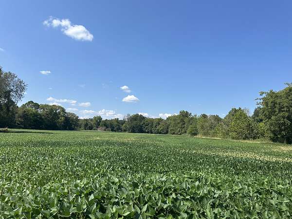 54.1 Acres of Recreational Land & Farm for Sale in Cadiz, Kentucky