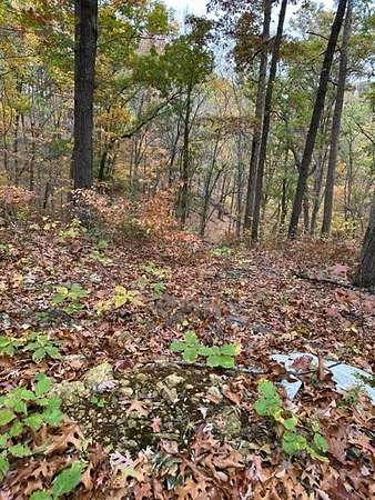 16.5 Acres of Land for Sale in Nashville, Tennessee