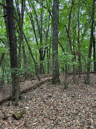 1 Acre of Residential Land for Sale in Crossville, Tennessee