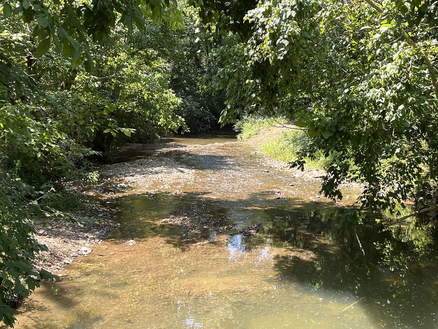 16.8 Acres of Land for Sale in College Grove, Tennessee