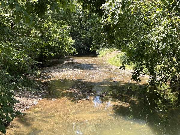 16.8 Acres of Land for Sale in College Grove, Tennessee