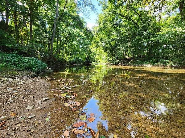 156 Acres of Recreational Land & Farm for Sale in Lafayette, Tennessee