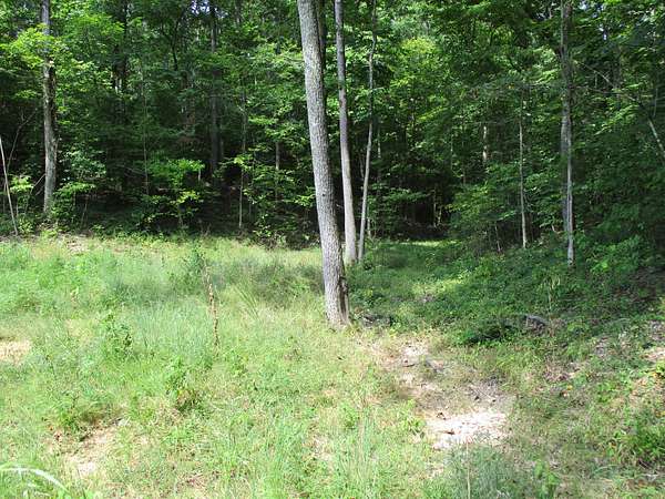 5 Acres of Residential Land for Sale in Lobelville, Tennessee