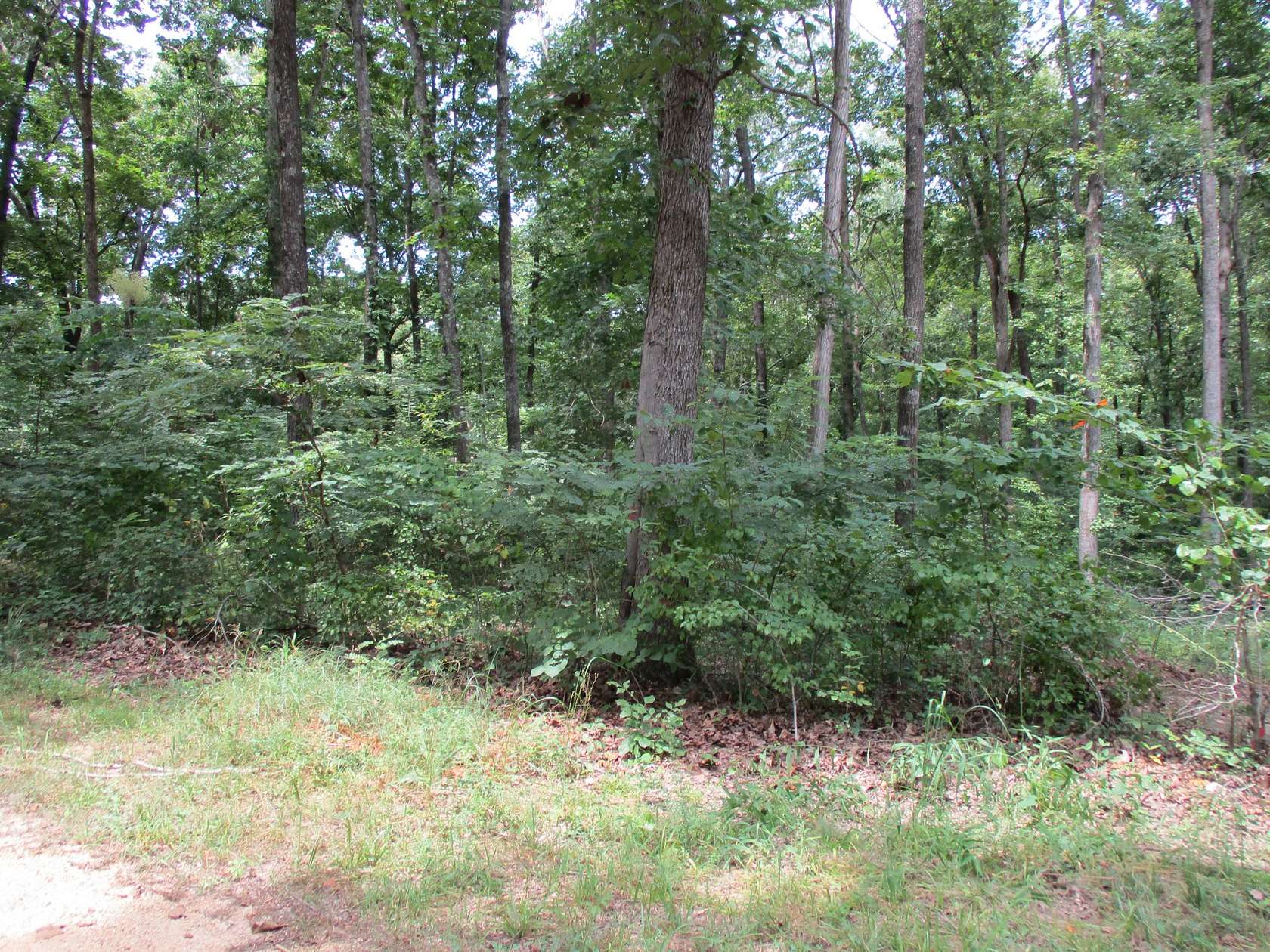 1 Acre of Residential Land for Sale in Scotts Hill, Tennessee