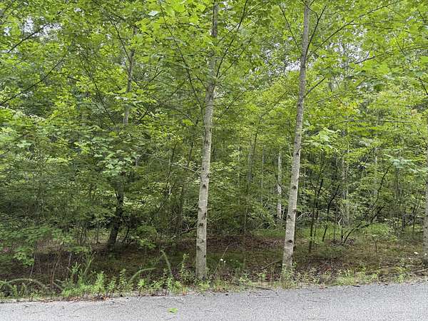 1.3 Acres of Residential Land for Sale in Spencer, Tennessee