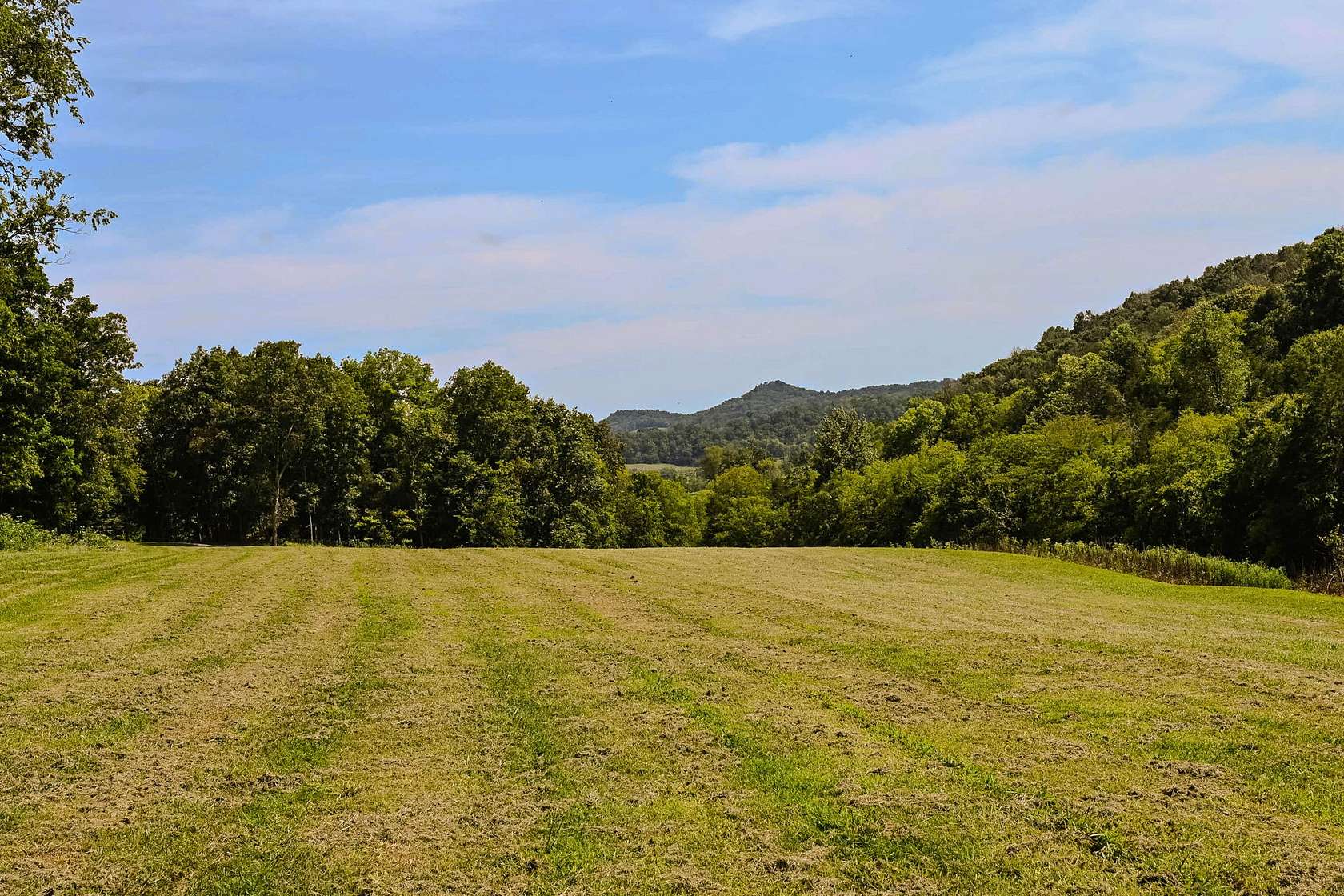 58.7 Acres of Land for Sale in Brush Creek, Tennessee