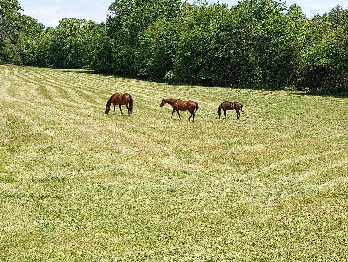 48.5 Acres of Agricultural Land with Home for Sale in Lebanon, Tennessee