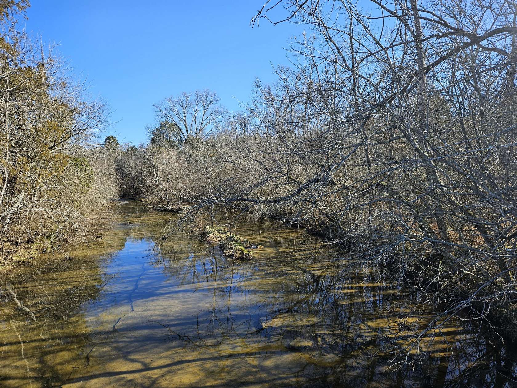 7.45 Acres of Residential Land for Sale in Milton, Tennessee