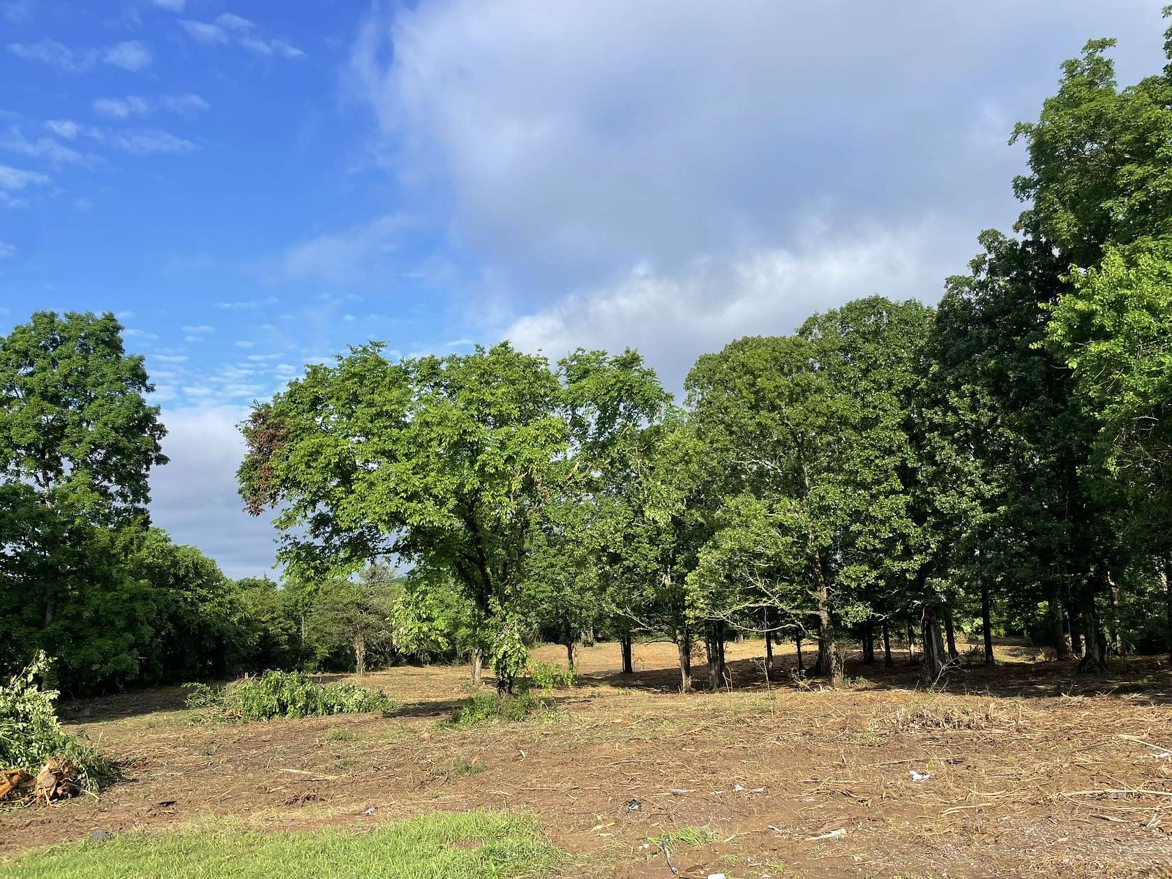 4.72 Acres of Residential Land for Sale in Lewisburg, Tennessee