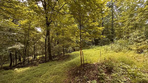 89.3 Acres of Land for Sale in Petersburg, Tennessee