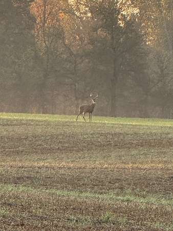 5.84 Acres of Residential Land for Sale in Indian Mound, Tennessee