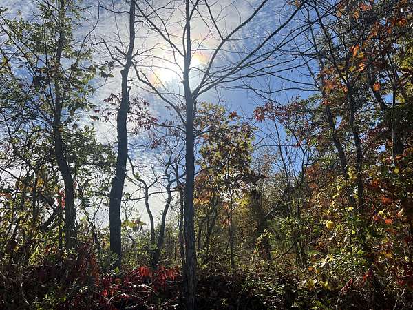 5 Acres of Land for Sale in Tennessee Ridge, Tennessee