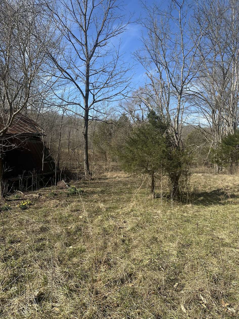 131 Acres of Land for Sale in Shady Grove, Tennessee