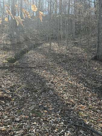 131 Acres of Recreational Land & Farm for Sale in Shady Grove, Tennessee