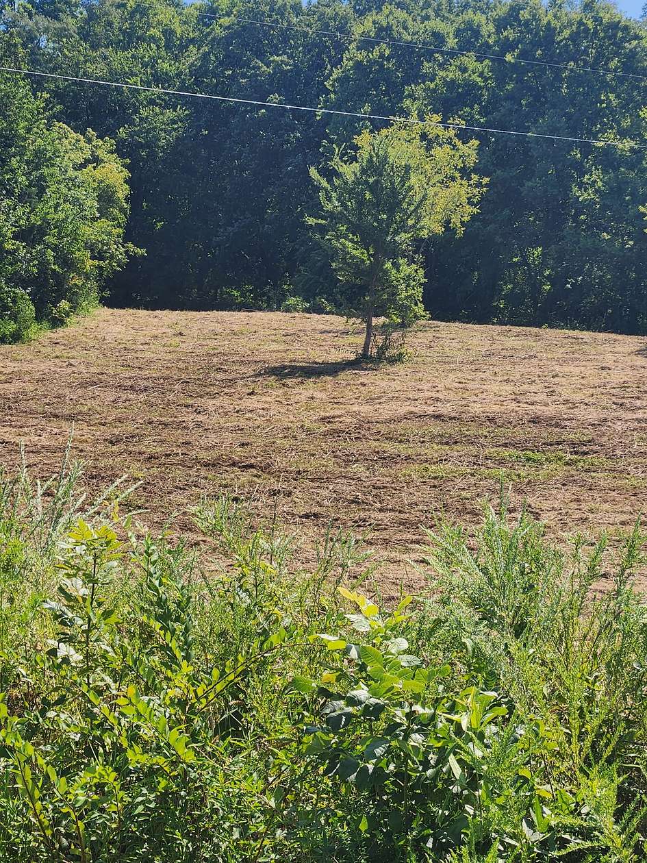 27.3 Acres of Land for Sale in Gordonsville, Tennessee