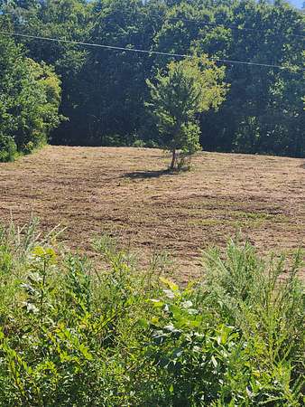 27.3 Acres of Land for Sale in Gordonsville, Tennessee