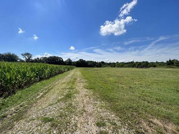8.12 Acres of Residential Land for Sale in Morrison, Tennessee