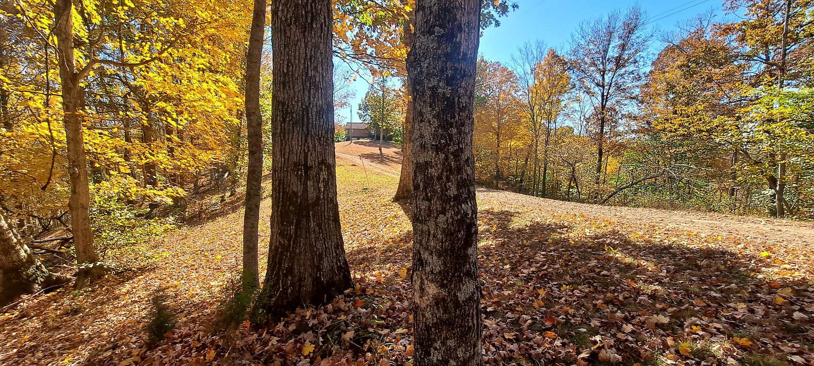 30.8 Acres of Recreational Land with Home for Sale in Pegram, Tennessee