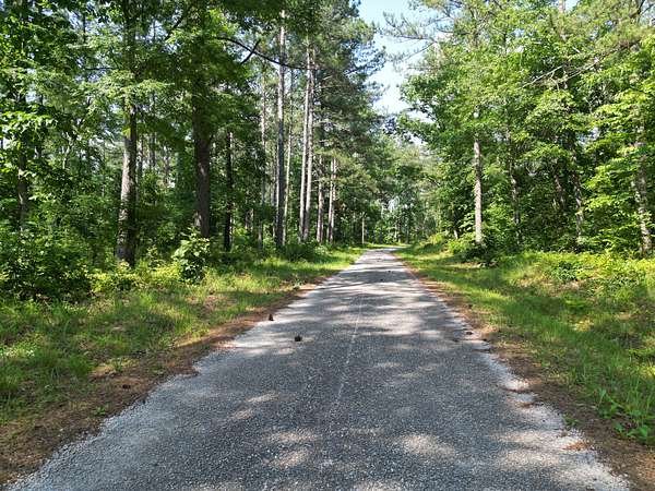 23.6 Acres of Recreational Land for Sale in Linden, Tennessee