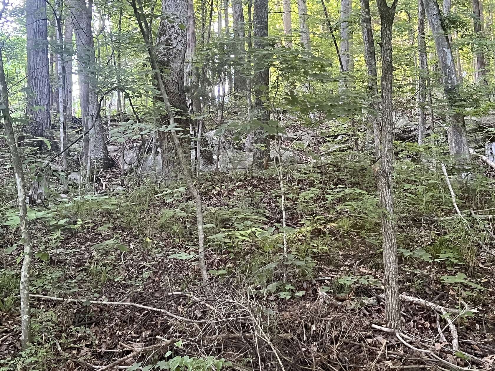 1.6 Acres of Residential Land for Sale in Clarksville, Tennessee