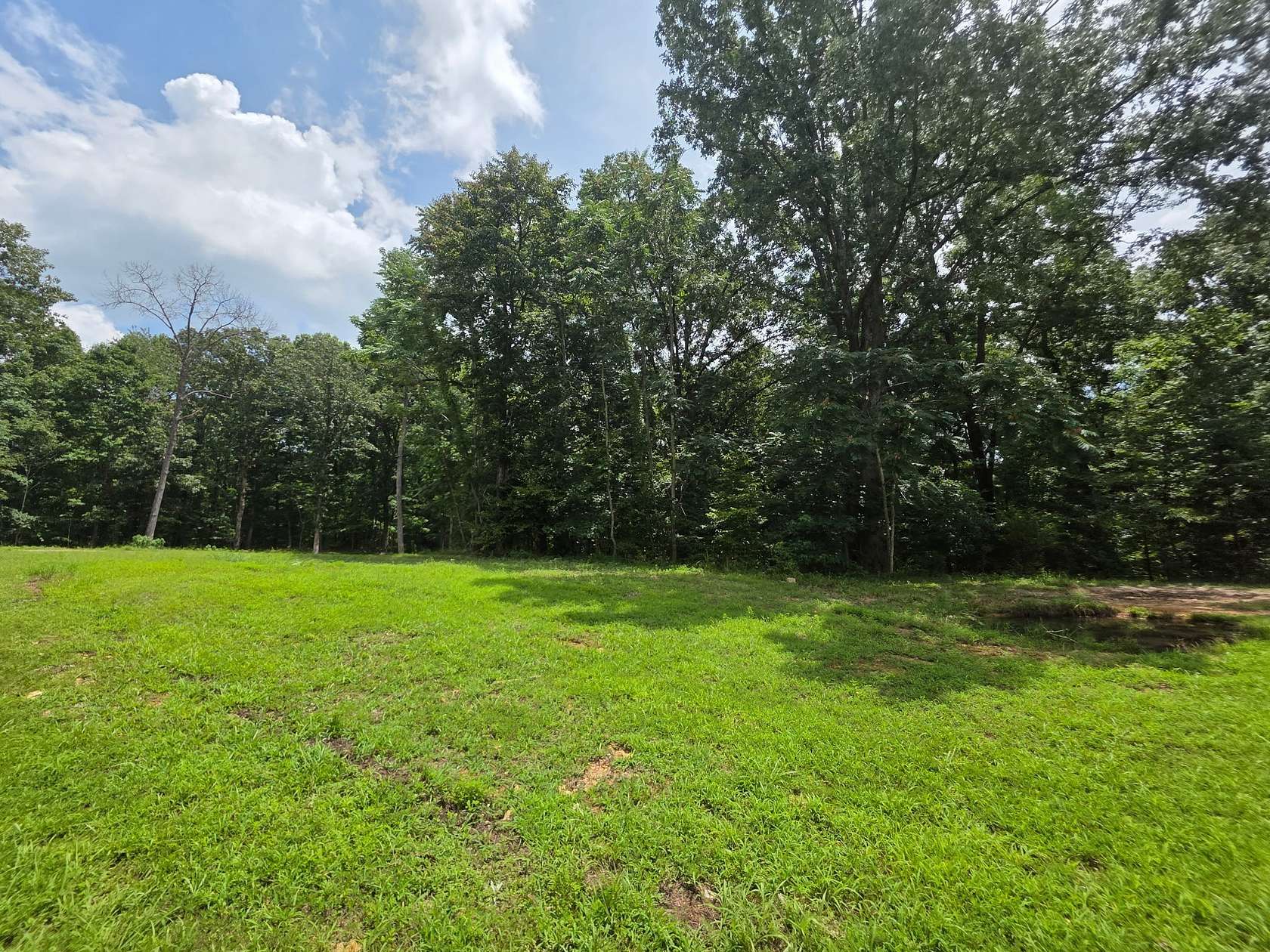 53.5 Acres of Recreational & Residential Land for Sale in Cunningham, Tennessee