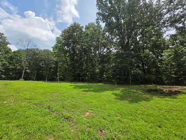 53.5 Acres of Recreational & Residential Land for Sale in Cunningham, Tennessee