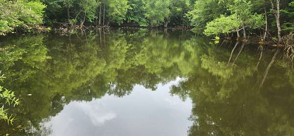 7.82 Acres of Residential Land for Sale in Nunnelly, Tennessee