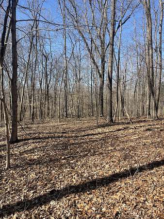 16 Acres of Land for Sale in Lafayette, Tennessee