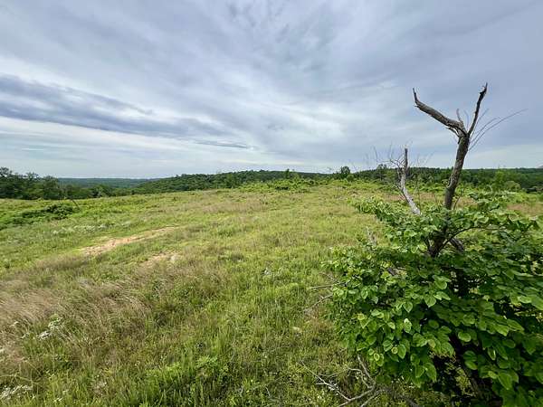 65.4 Acres of Recreational Land for Sale in Hurricane Mills, Tennessee