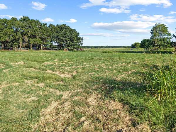 33.3 Acres of Agricultural & Residential Land for Sale in Telephone, Texas