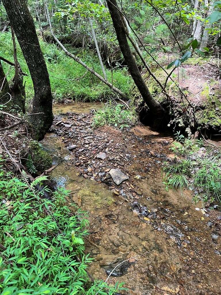 5.37 Acres of Residential Land for Sale in Brasstown, North Carolina