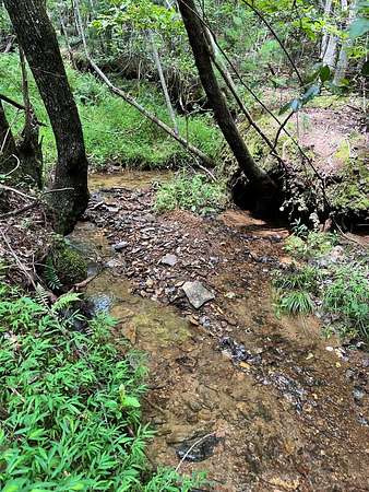 5.37 Acres of Residential Land for Sale in Brasstown, North Carolina