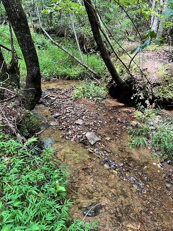 5.37 Acres of Residential Land for Sale in Brasstown, North Carolina